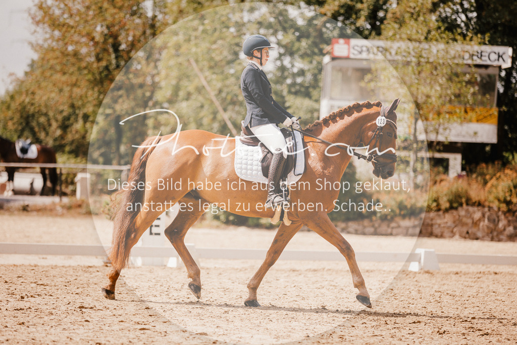 3I6A6261 | Stimmungsvolle Portraits und Reitsportfotografie im Ruhrgebiet und im Münsterland.

Pferdefotografie, Hundefotografie, Tierfotografie, Reportagen, Portraits von Tier und Mensch, Turnierfotografie in Bochum, Recklinghausen, Marl, Haltern am See, Dülmen.. - Realisiert mit Pictrs.com