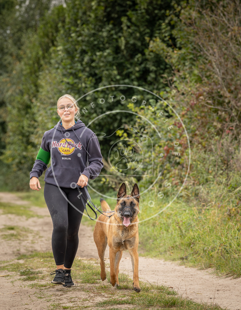 Pfotenfotografie_DV3A8541 | Hundefotografie, Tierfotograf, Pfotenfotografie, Fotoshooting Hund, Hunde Portrait, Hundesport, Hundeportraits, Heideshooting, Hunde, Sportfotograf, Hundefotograf, Turnierhundsport, THS,  - Realisiert mit Pictrs.com