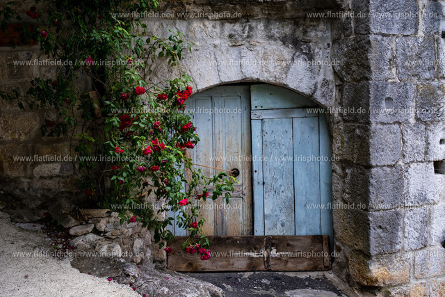 Tor und Rosen | Streetfoto aus der Ardeche