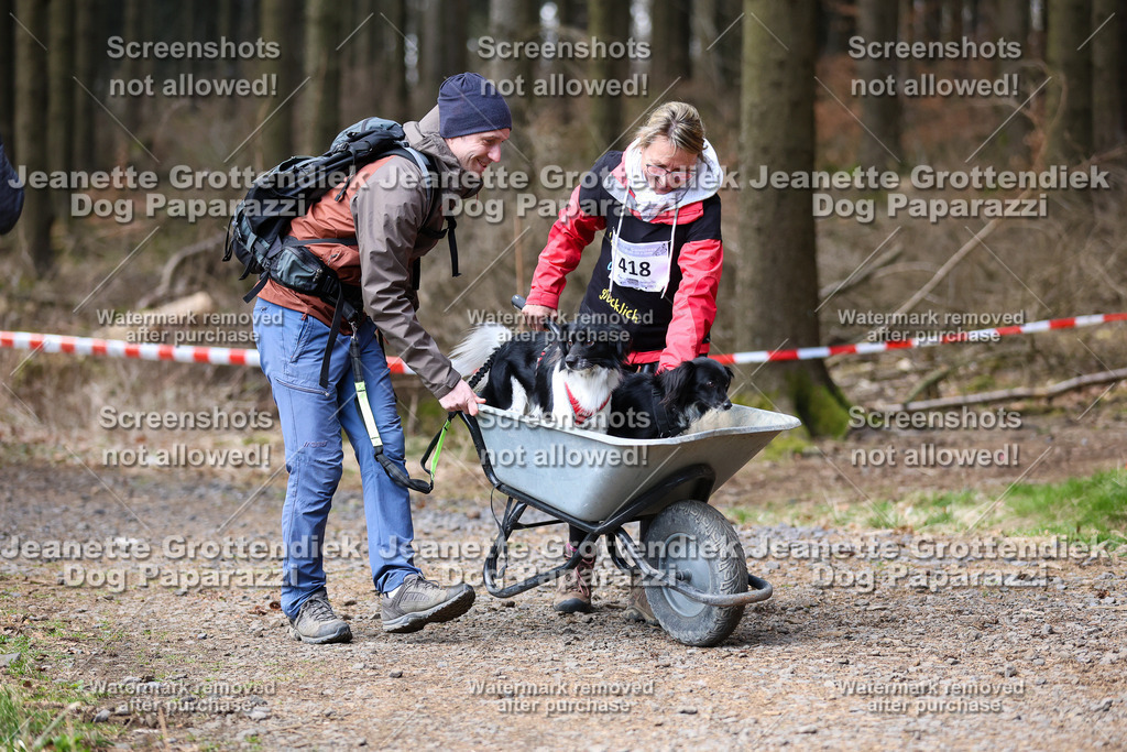 Dog Paparazzi - VCC26-830 | Dog Paparazzi Jeanette Grottendiek Fotografie & Videografie - Realisiert mit Pictrs.com