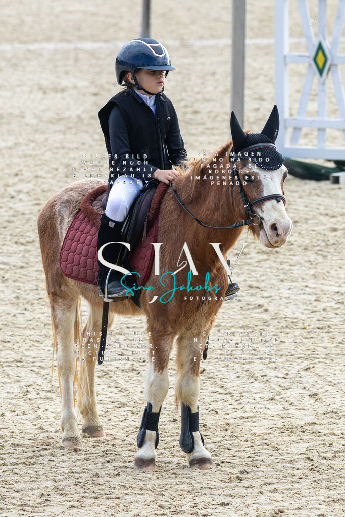 IMG_4738 | s-jay-photography - Realisiert mit Pictrs.com