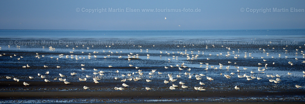 Cuxhaven_ELS_8196270716p | Fotos aus den Touristenorten aus Norddeutschland. - Realisiert mit Pictrs.com