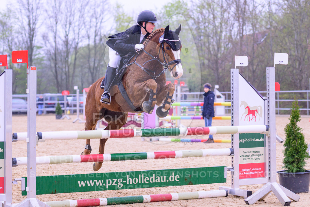 12042026-Mammendorf-Prfg41-0073 | Fokus Hufschlag Fotografie - Realisiert mit Pictrs.com