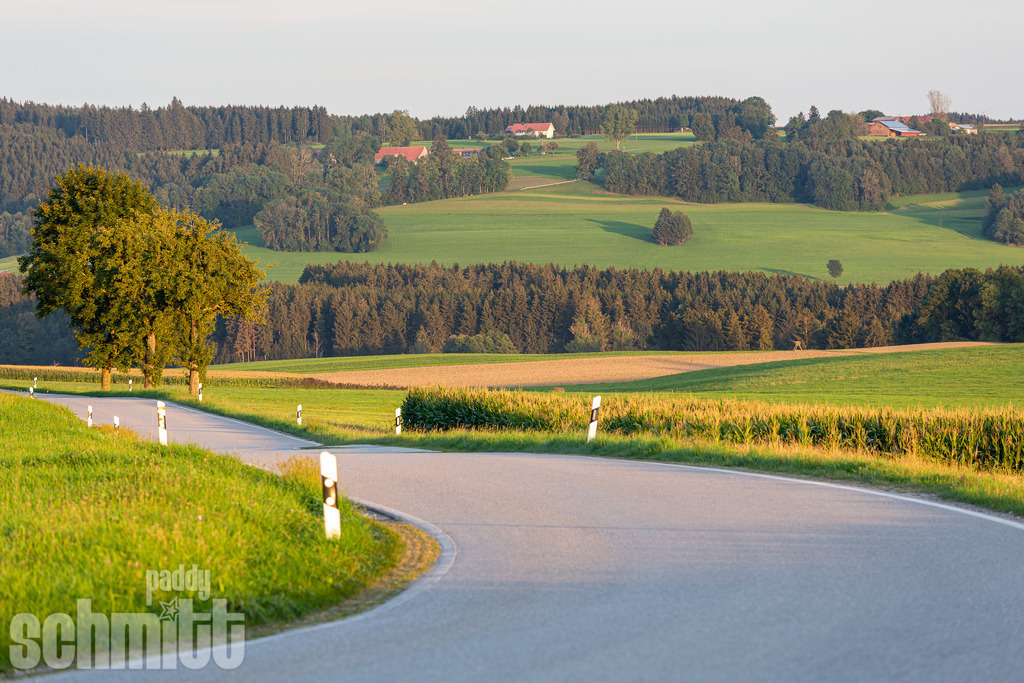 PS-Wege-2026-9 | Entdecke die größte Bildgalerie der Region mit Fotografien aus dem Allgäu, der Bodenseeregion, Oberschwaben, dem Donautal und der Schwäbischen Alb. Landschaften, Luftaufnahmen und Reisefotografie als Wandbild und Fotokunst. - Realisiert mit Pictrs.com