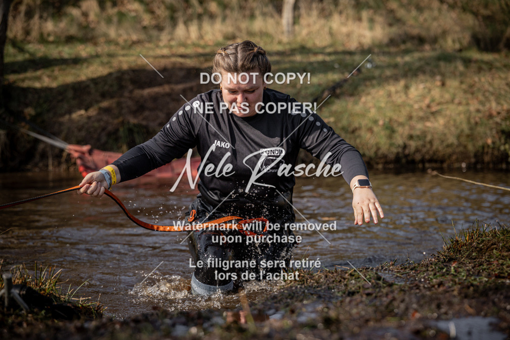 nelerasche_FS1330-1400_408 | nelerasche
