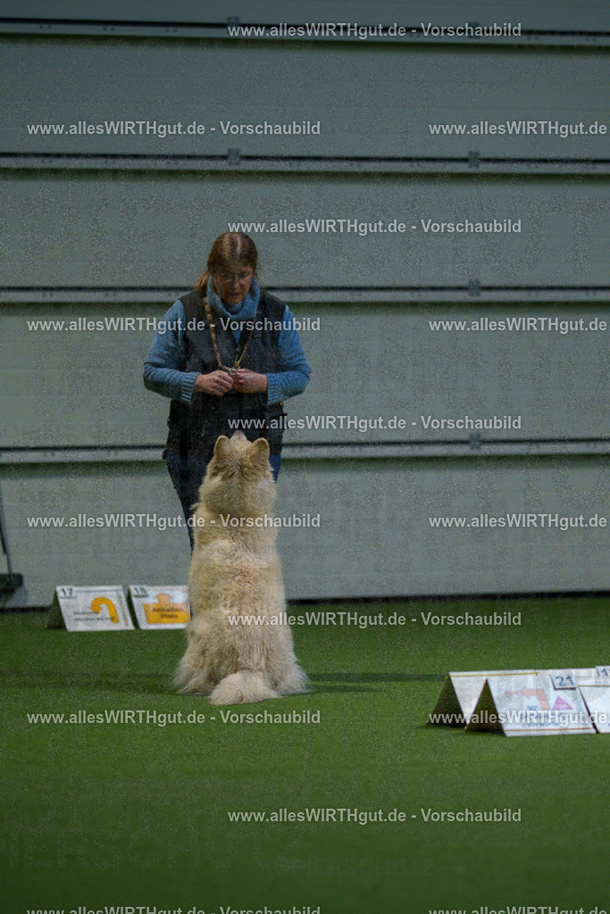 7R500208 | Professionelle Tierfotografie in Mönchengladbach von Daniel Wirth (allesWIRTHgut). Liebevolle & natürliche Bilder von Hunden & Katzen für unvergessliche Erinnerungen.