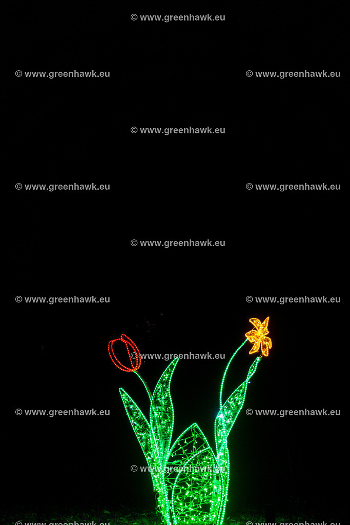 _MG_0224 | Greenhawks Bilder Shop für Landschaften, Urban, Tiere und weiteres als Poster Leinwand oder Fotogeschenk für Ostern Weihnachten oder Geburtstag  - Realisiert mit Pictrs.com