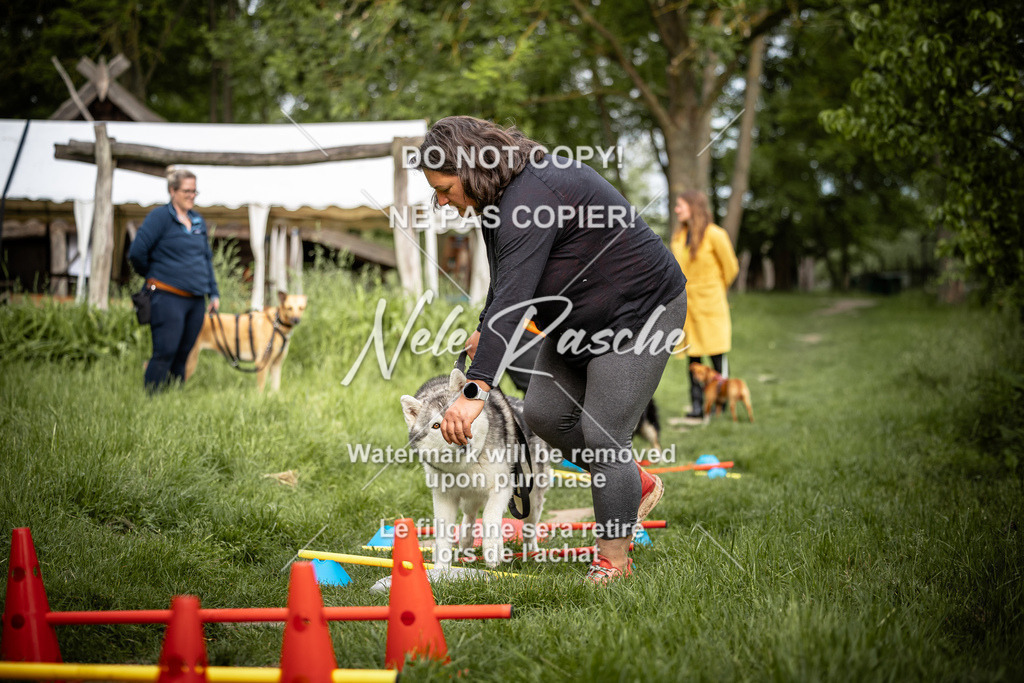 nelerasche_So-earlydog_51 | nelerasche