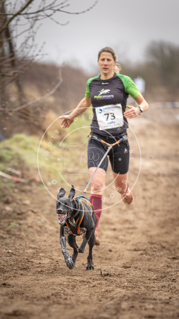 DV3A9691 | Hundefotografie, Tierfotograf, Pfotenfotografie, Fotoshooting Hund, Hunde Portrait, Hundesport, Hundeportraits, Heideshooting, Hunde, Sportfotograf, Hundefotograf, Turnierhundsport, THS,  - Realisiert mit Pictrs.com