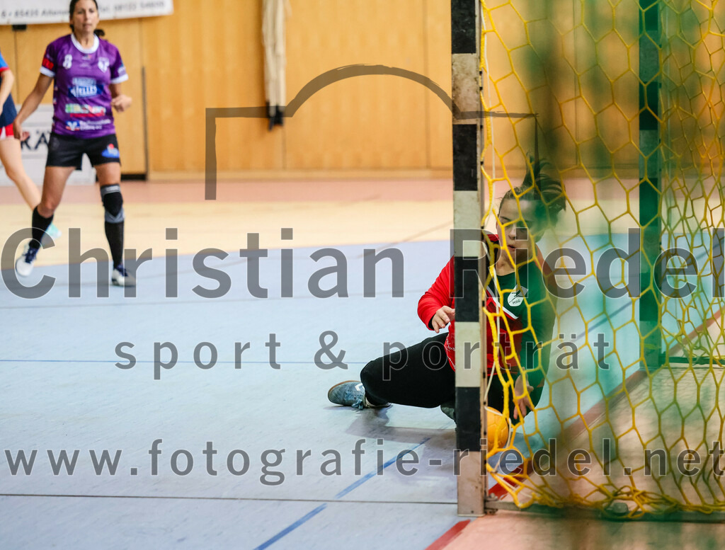 2023-10-14_048_SpVgg_Altenerding_gegen_HSG_Freising_Neufahrn_Damen | Erding, Deutschland, 14.10.2023:
Handball, Bezirksliga Frauen Altbayern 2023 / 2024, 3. Spieltag, SpVgg Altenerding II gegen HSG Freising-Neufahrn II, Endergebnis: 23:28

Torfrau Hanna Knecht (HSG Freising-Neufahrn, #16)

Foto: Christian Riedel / fotografie-riedel.net
