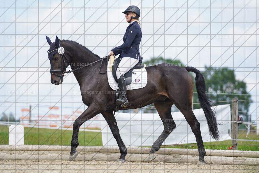 20230826-FAH05592 | Forstinning, 2023, Dressurturnier, Turniersportbilder, Turnierfotografen Bayern, Fotoagentur Herrmann, Reitsportfotografie, Turnierbilder