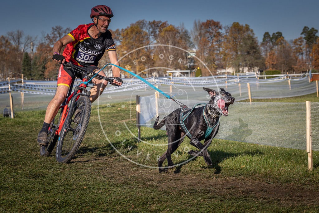 CaniXpix_0L8A5502 | Hundefotografie, Tierfotograf, Pfotenfotografie, Fotoshooting Hund, Hunde Portrait, Hundesport, Hundeportraits, Heideshooting, Hunde, Sportfotograf, Hundefotograf, Turnierhundsport, THS,  - Realisiert mit Pictrs.com
