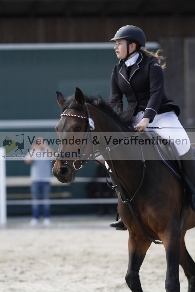 _MG_3381 | equestrian-live-com