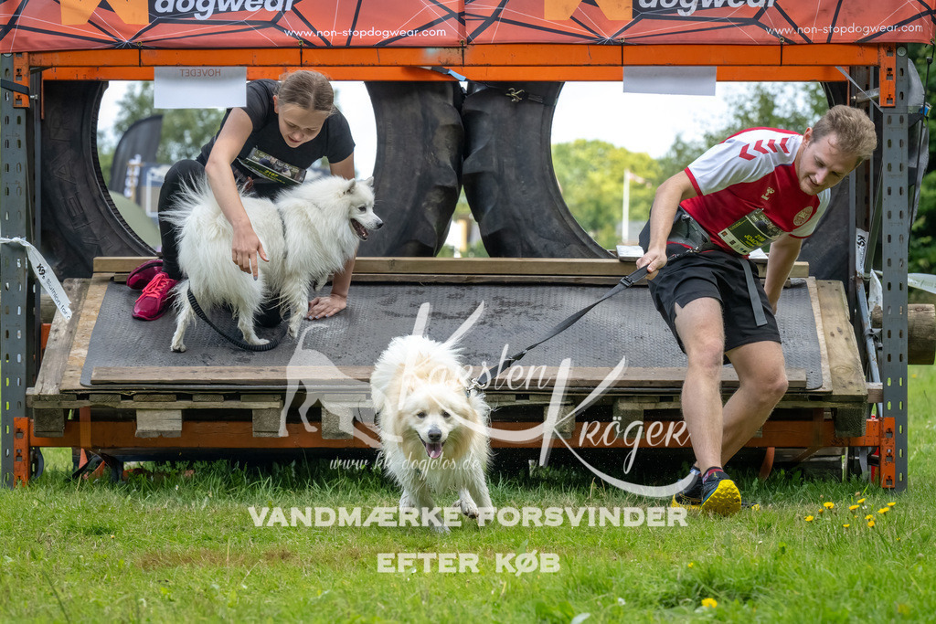 1329_ZZ90065-Bearbeitet | kk-dogfotos