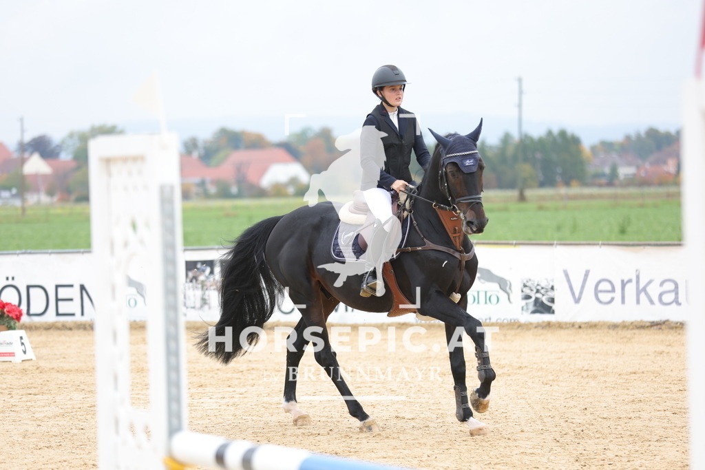 0P6A2261 | Willkommen bei Brunnmayr - Design & Fotografie – Ihrem Spezialisten für Reitturniere und Pferdeveranstaltungen in Oberösterreich, Salzburg und Bayern! Seit über 17 Jahren sind wir leidenschaftlich dabei.
