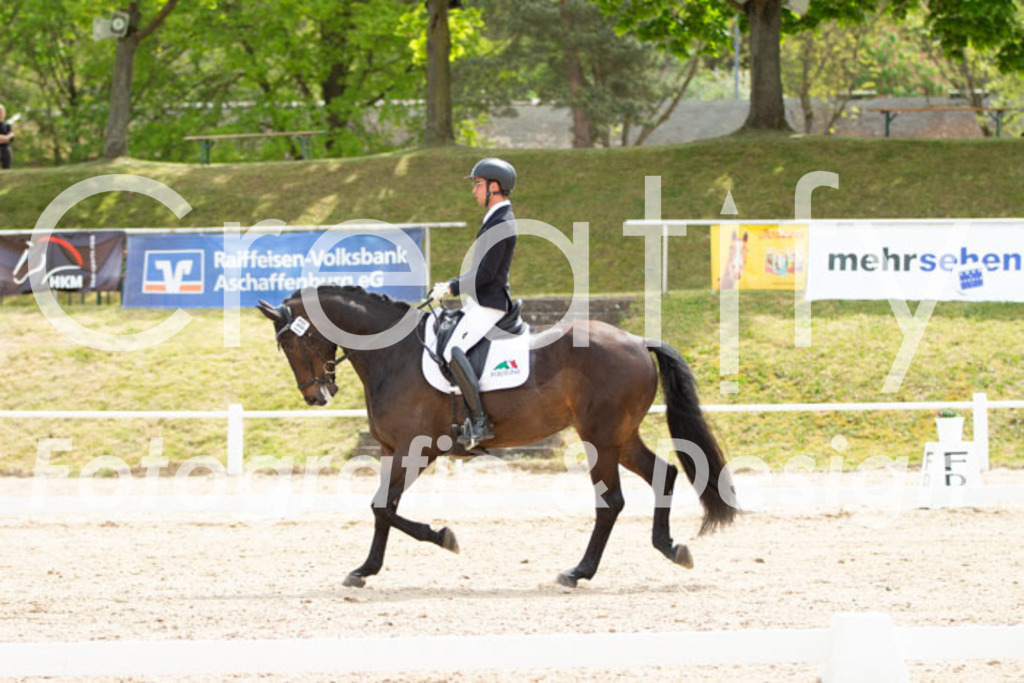 IMG_2787 | Creatify Fotografie