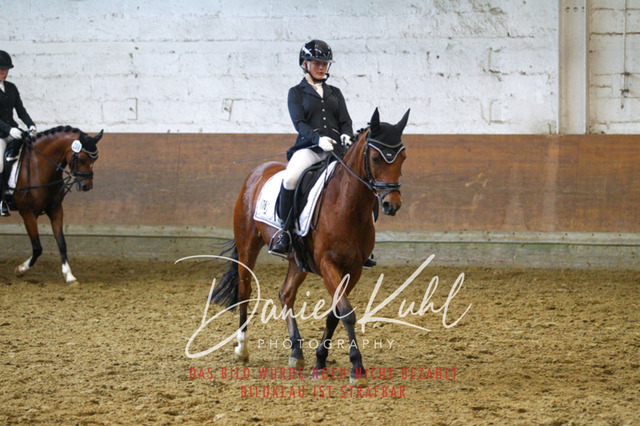 DKP43872 | Turniersportfotografie; Pferdefotografie; Dressurfotografie