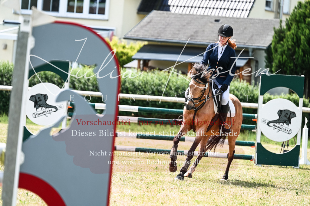 DSC_9308 | Pferde- und Turnierfotografie in Westsachsen. Pferdeportraits, Auftragszeichnungen und intuitive Kunst.