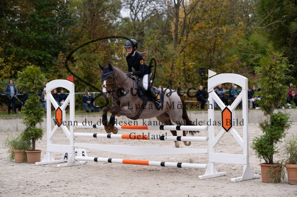 A7V07799 | Pferdefotograf