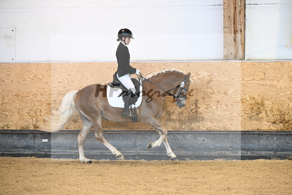 Kat-Nr. 8 Eiswind_Sendig Gestuet Meura_44240286 | hf-fotografie - Realisiert mit Pictrs.com