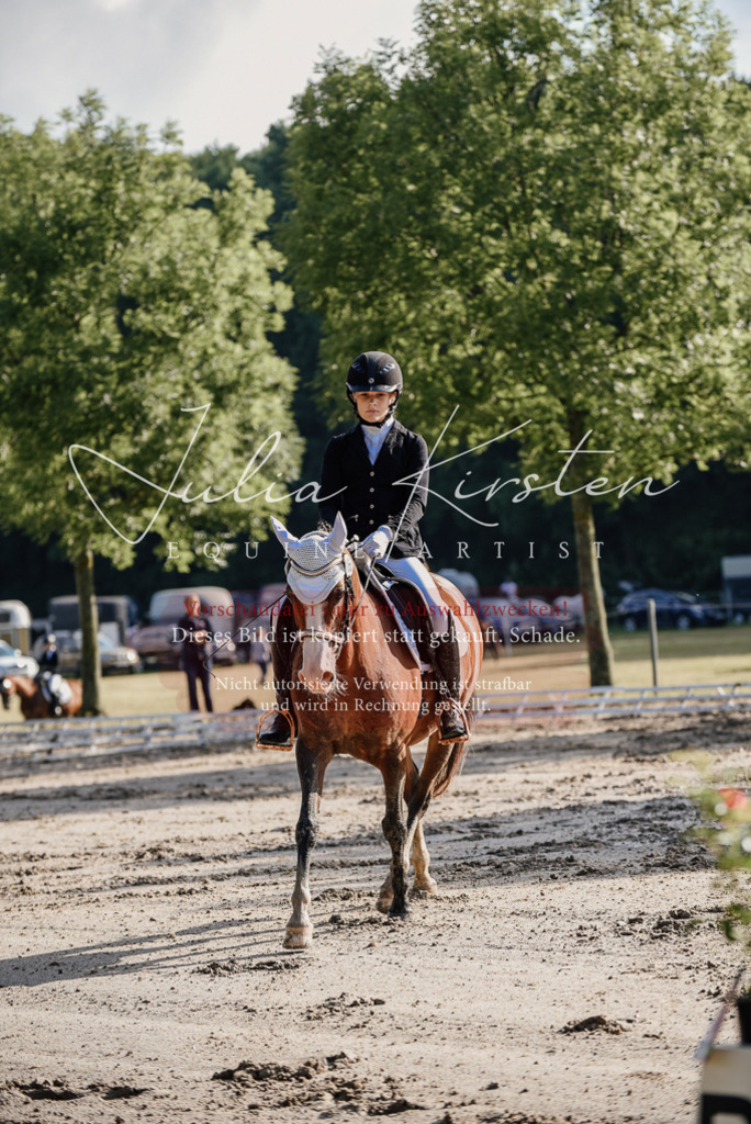 DSC_7809 | Pferde- und Turnierfotografie in Westsachsen. Pferdeportraits, Auftragszeichnungen und intuitive Kunst.