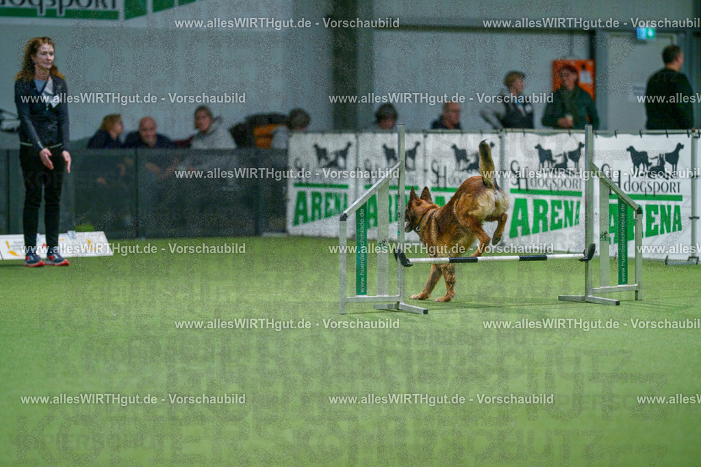 7R505602 | Professionelle Tierfotografie in Mönchengladbach von Daniel Wirth (allesWIRTHgut). Liebevolle & natürliche Bilder von Hunden & Katzen für unvergessliche Erinnerungen.