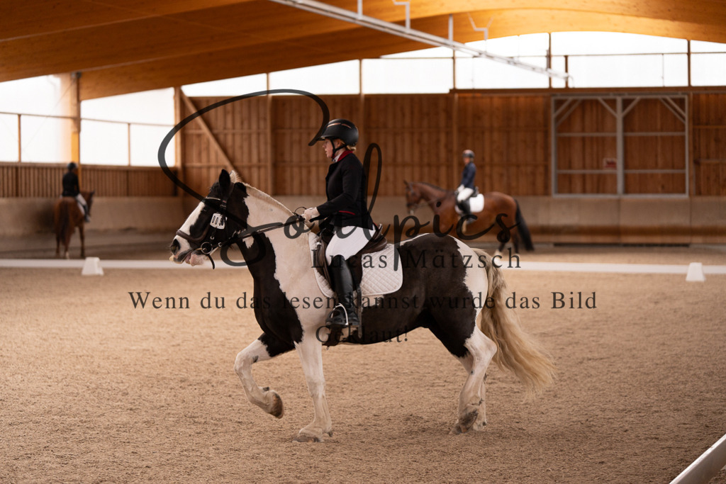 A7506846 | Turnier/Reitfotograf