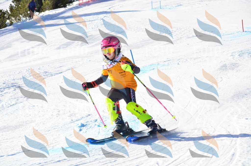 C5894 | holidayphoto