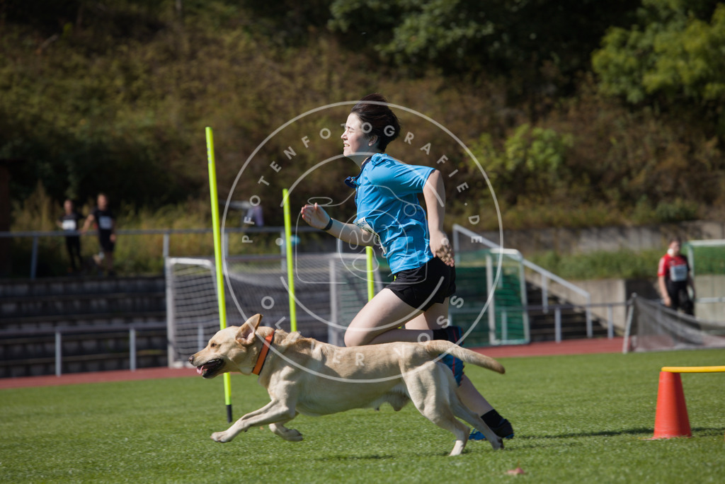 0L8A7412 | Hundefotografie, Tierfotograf, Pfotenfotografie, Fotoshooting Hund, Hunde Portrait, Hundesport, Hundeportraits, Heideshooting, Hunde, Sportfotograf, Hundefotograf, Turnierhundsport, THS,  - Realisiert mit Pictrs.com