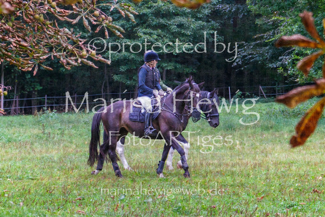 Jagd Perdoel_MarinaHewigDSCF3365 | Fotografie, FotoArt, PferdesportArt, Pferdesportfotografie, Landschaftsfotografie, Reisefotografie, Reise, Pferde - Realisiert mit Pictrs.com