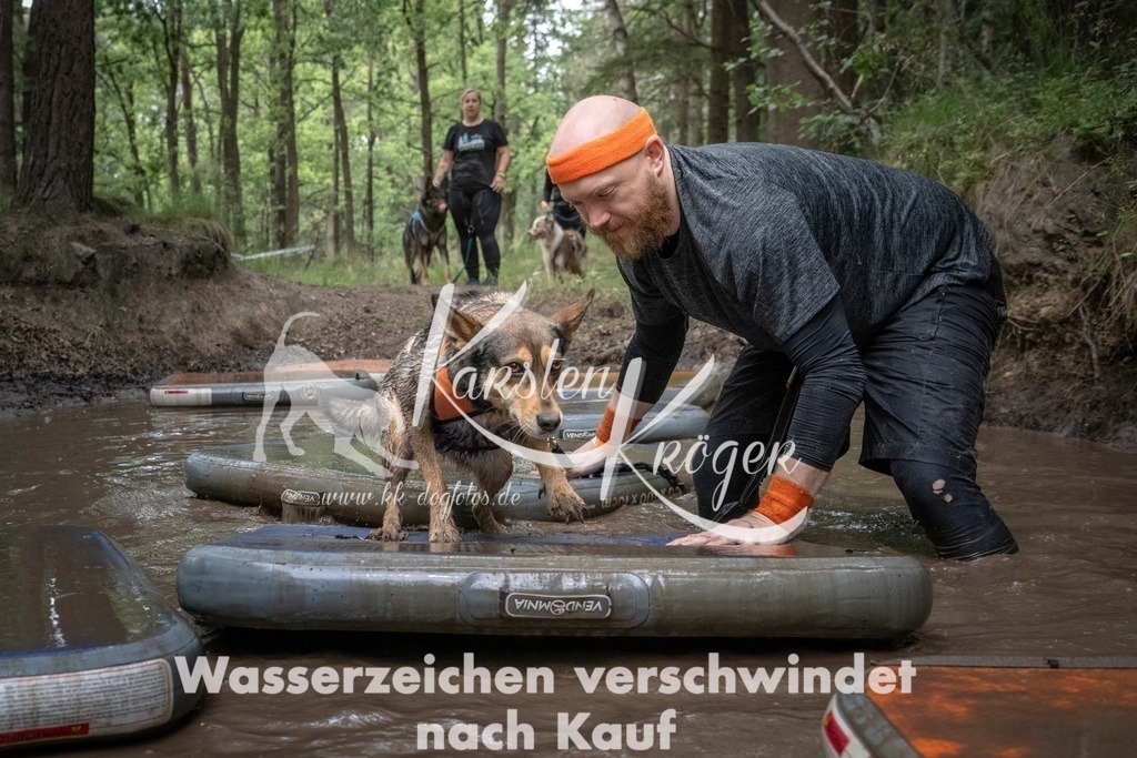 1223_ZZ98838T | kk-dogfotos