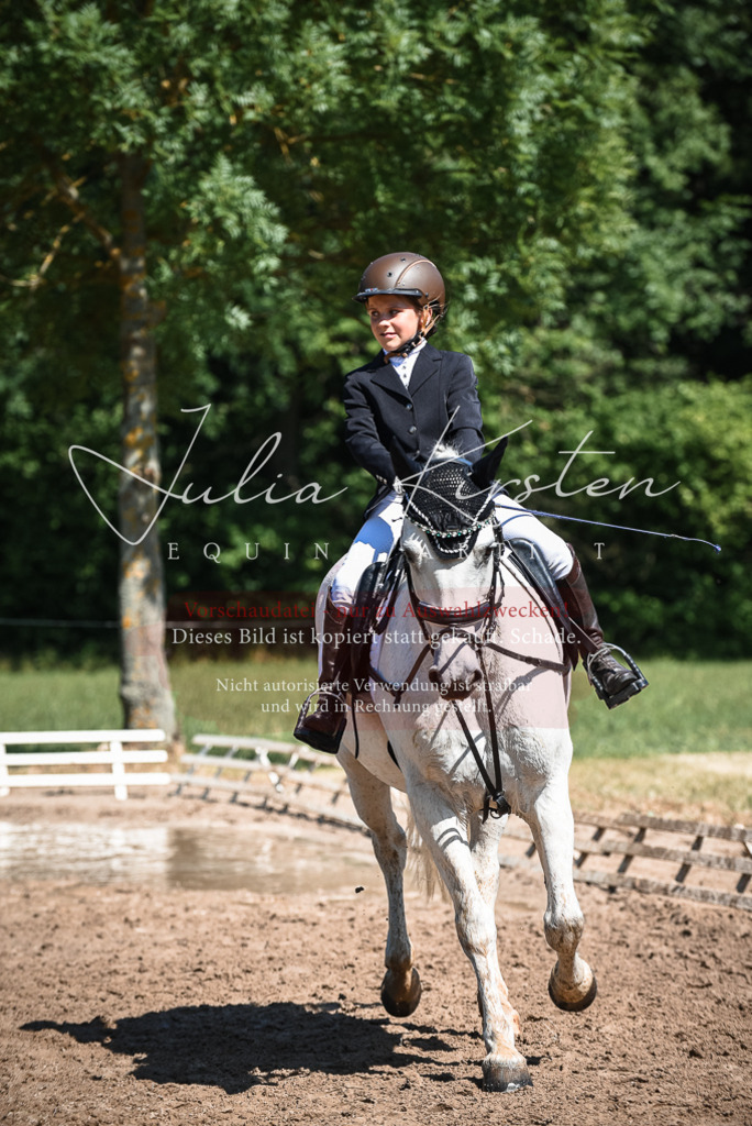 DSC_3566 | Pferde- und Turnierfotografie in Westsachsen. Pferdeportraits, Auftragszeichnungen und intuitive Kunst.