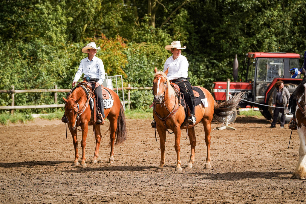 DSC09296 | Pferdegrafie