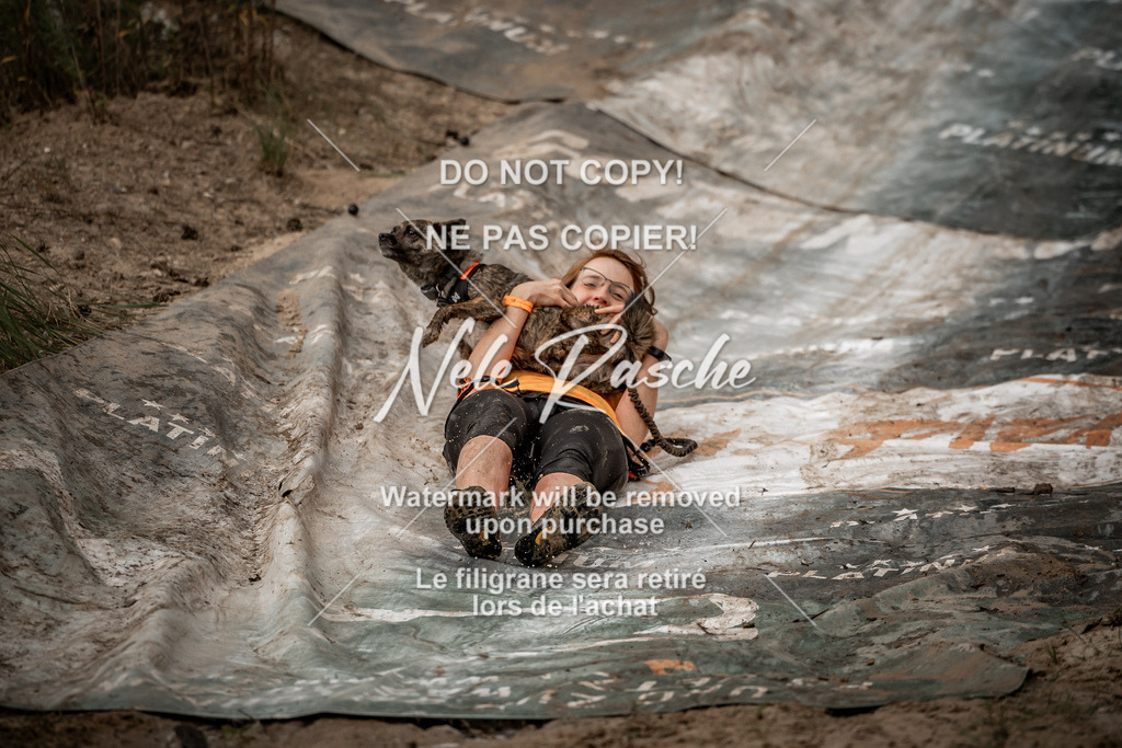 nelerasche_sa0800-1000_380 | nelerasche