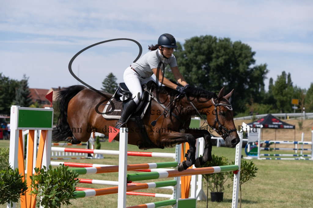 A7V01621 | Turnier/Reitfotograf