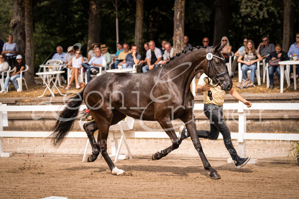 4.Fr00062 | Leoni Ertmer Photography - Realisiert mit Pictrs.com