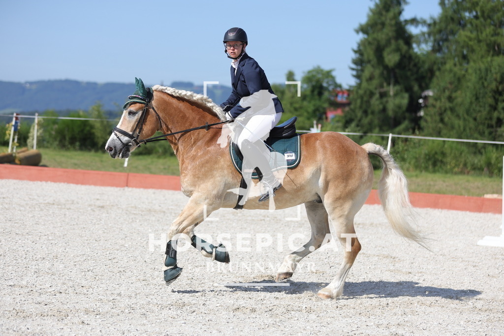 0P6A7666 | Willkommen bei Brunnmayr - Design & Fotografie – Ihrem Spezialisten für Reitturniere und Pferdeveranstaltungen in Oberösterreich, Salzburg und Bayern! Seit über 17 Jahren sind wir leidenschaftlich dabei.