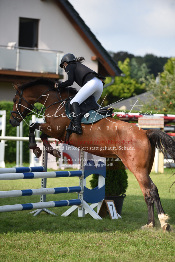 DSC_8835 | Pferde- und Turnierfotografie in Westsachsen. Pferdeportraits, Auftragszeichnungen und intuitive Kunst.