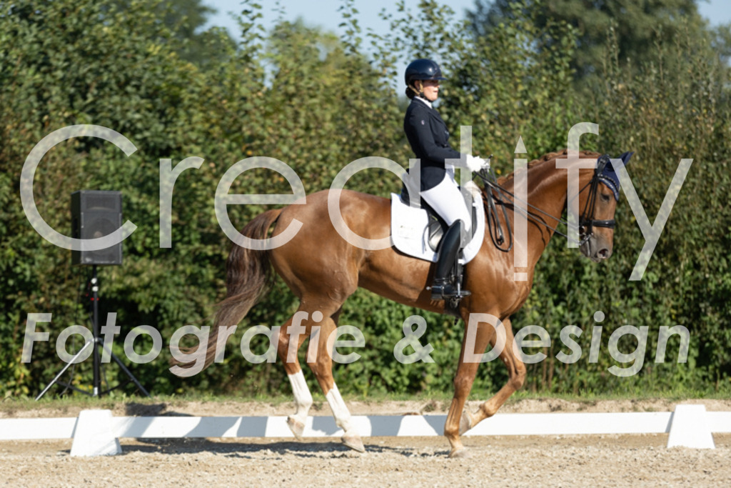 IMG_0501 | Creatify Fotografie