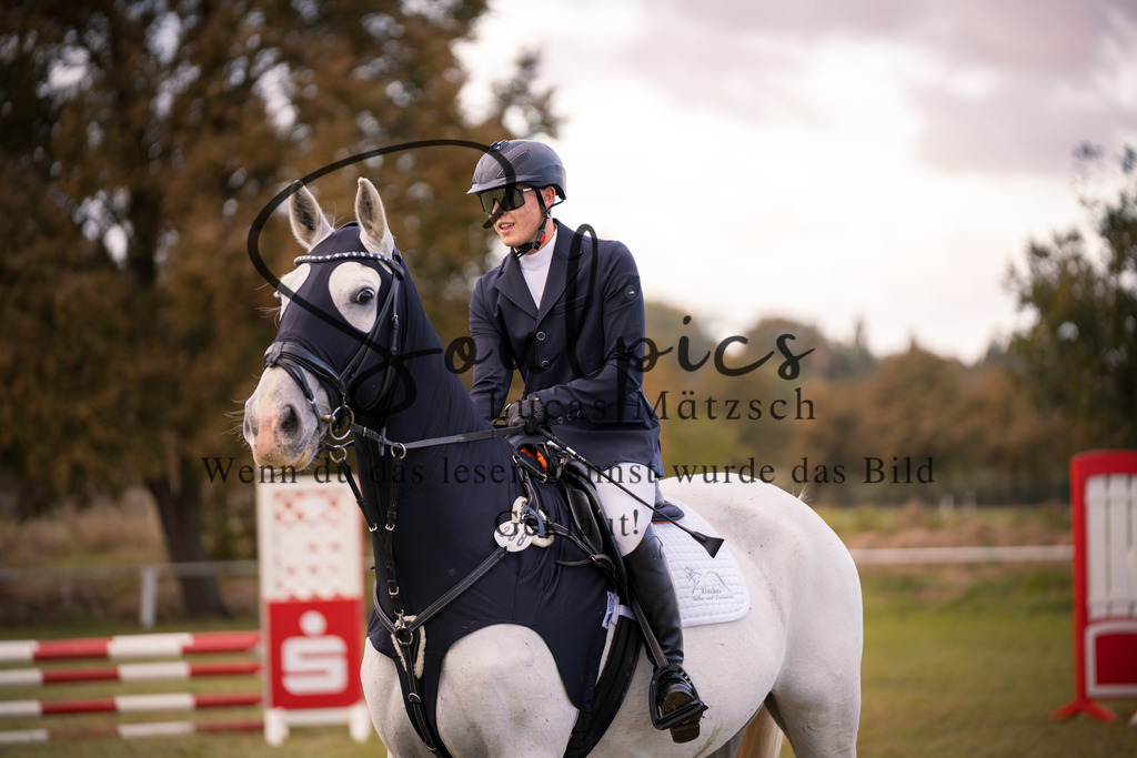 A7V06437 | Pferdefotograf