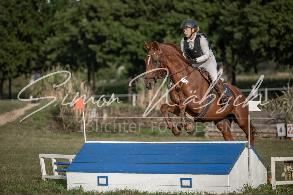 20250907-_3LI8318 | Tierfotografie Pferde, Hunde, Katzen, Haustiere.
Turnierfotografie Reitturniere, Reiten, Springreiten, Dressur in Hanau, dem Main-Kinzig-Kreis und dem Rhein-Main- Gebiet um Frankfurt