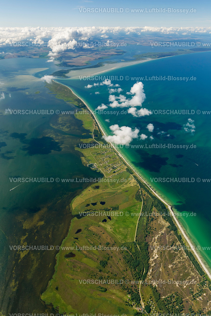 Hiddensee12082844 | Naturschutzgebiet Dünenheide, Heidelandschaft,  Insel Hiddensee, Ostseeinsel, Mecklenburg-Vorpommern, Deutschland, Europa