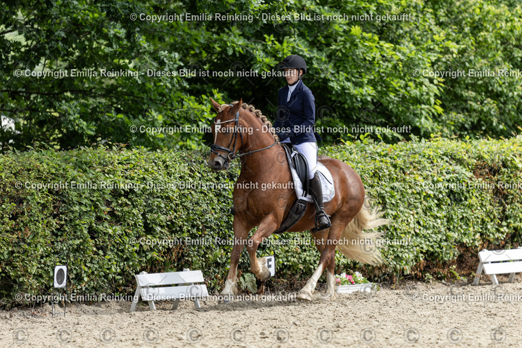 CL5A7817 | Emilia Reinking Fotografie - Realisiert mit Pictrs.com