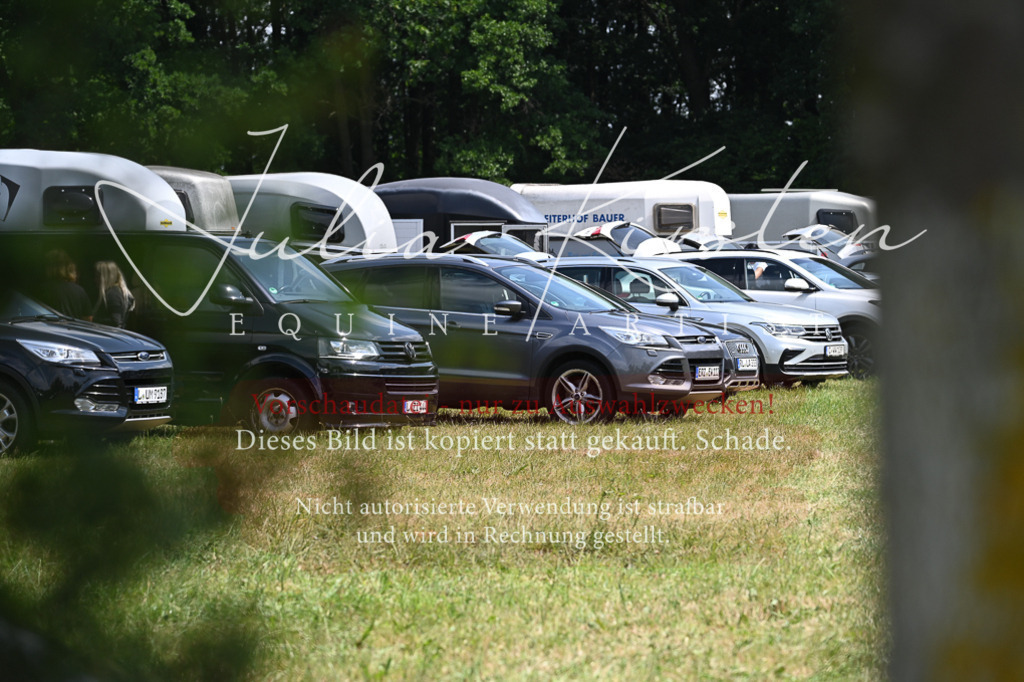DSC_9547 | Pferde- und Turnierfotografie in Westsachsen. Pferdeportraits, Auftragszeichnungen und intuitive Kunst.