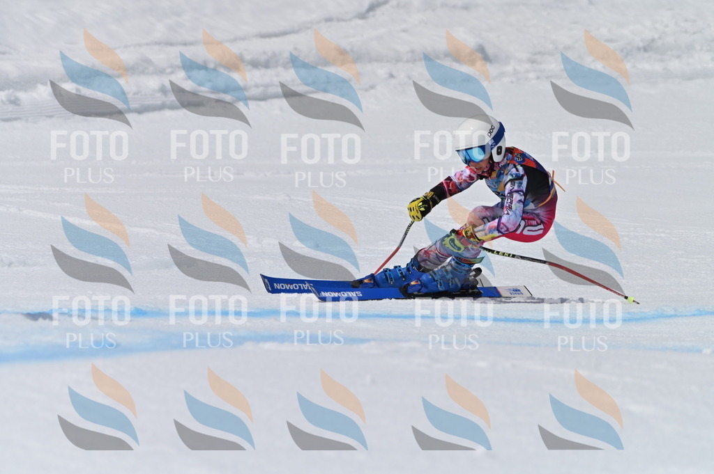 BGV_6655 | holidayphoto