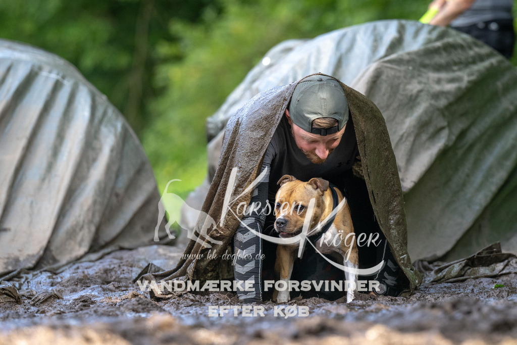 1604_ZZ92301 | kk-dogfotos