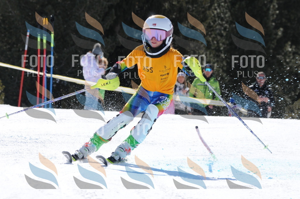 C8880 | holidayphoto