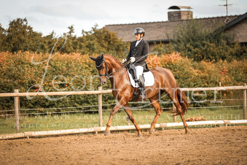 17.SoDrM00487 | Leoni Ertmer Photography - Realisiert mit Pictrs.com