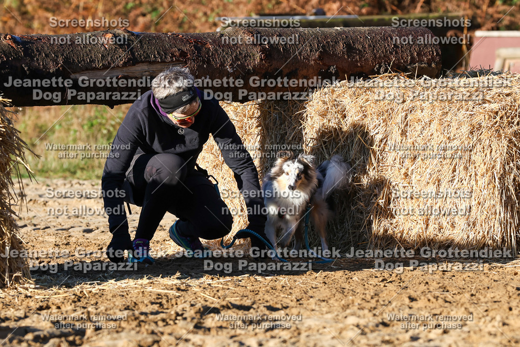 Dog Paparazzi - Strongdog 10-25-1202 | Dog Paparazzi Jeanette Grottendiek Fotografie & Videografie - Realisiert mit Pictrs.com