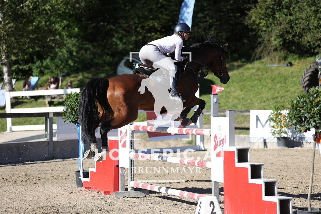 0P6A7502 | Willkommen bei Brunnmayr - Design & Fotografie – Ihrem Spezialisten für Reitturniere und Pferdeveranstaltungen in Oberösterreich, Salzburg und Bayern! Seit über 17 Jahren sind wir leidenschaftlich dabei.